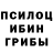 Псилоцибиновые грибы GOLDEN TEACHER Mariane Rios