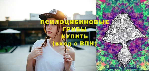 герыч Новодвинск